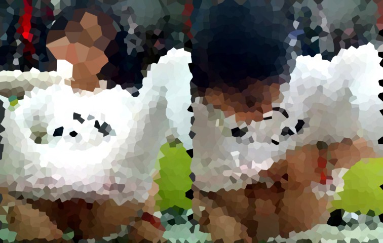 私が私がとおっ◯い見せて競い合う