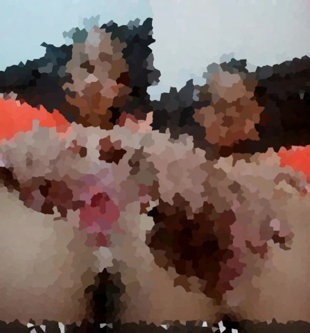 C『彼氏がいるのでもう見せません！』