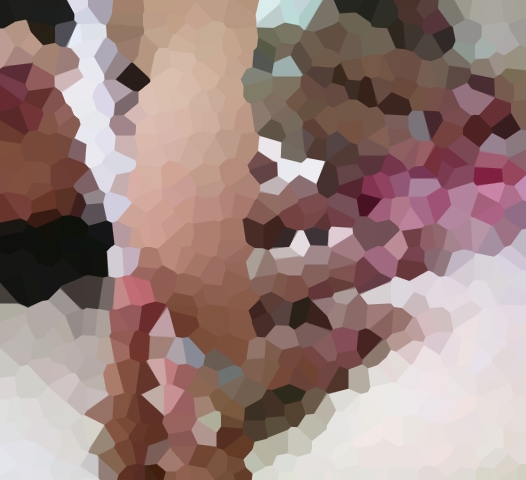 はえかけ レベル椎