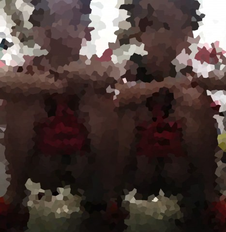 Skypeで美少女Cのオナ