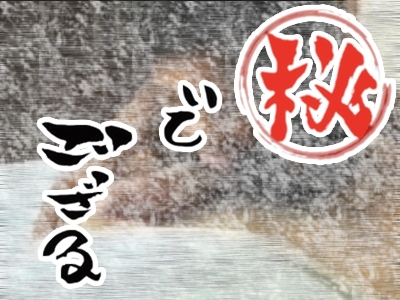 可愛さ２００％ ｃｋの代の女の子が配信アプリで生公開！