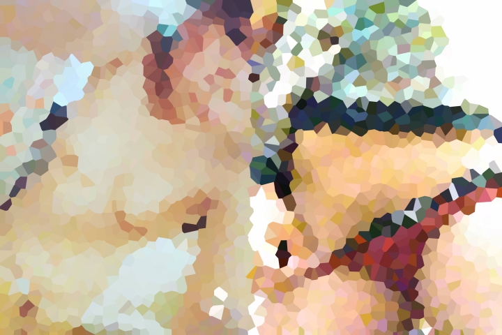 ＄っ子　色々見せてくれる自然体娘