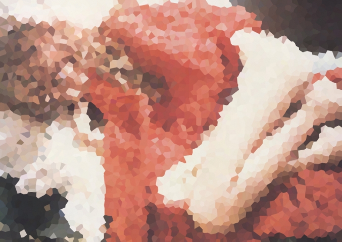 思い出に残る瞬間 2