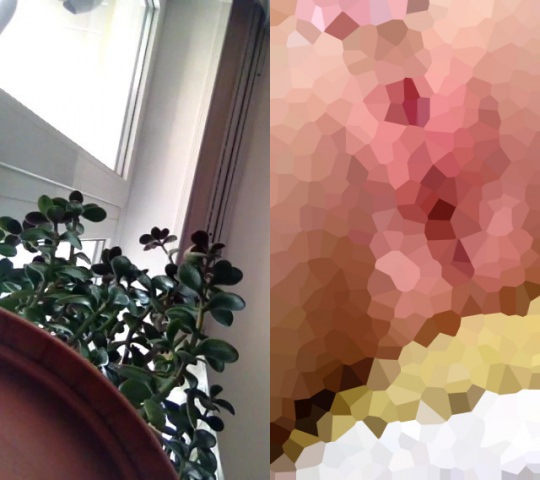 新作！ ミクチャ配信で人気ライバーを目指す