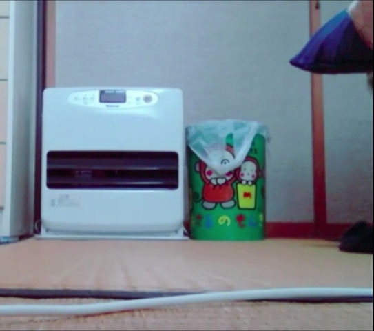 ふくらみもしげみも晒しちゃいます