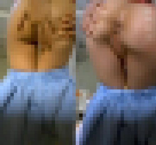 おいしーそうなパイ