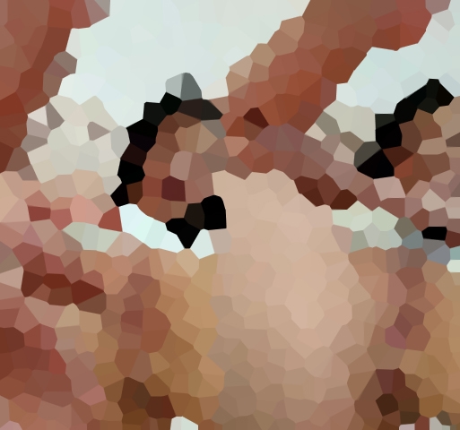 「すごい緊張して、どきどきしてるけど、がんばるよ・・・」