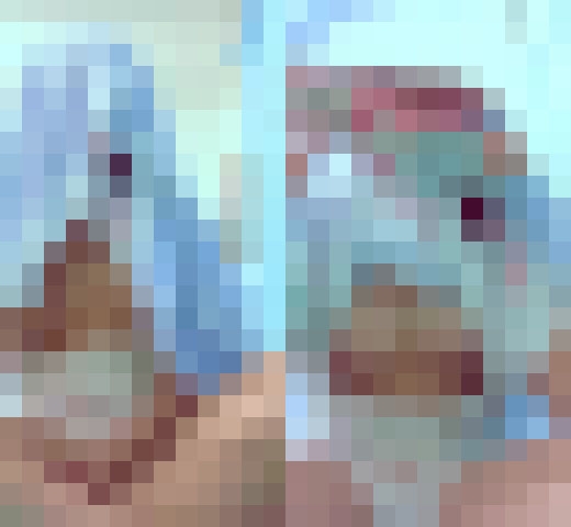 みうちゃんのエッチらいぶ