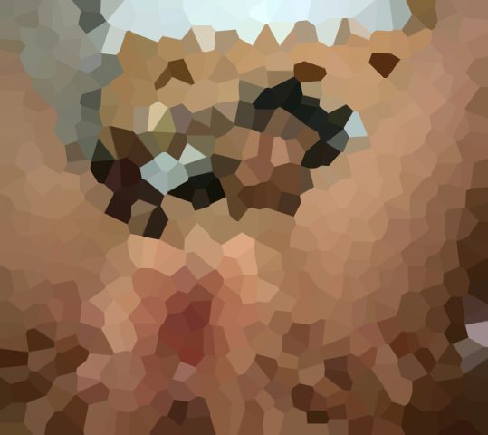 顔出し!高画質!若者のエッチな自撮り 4