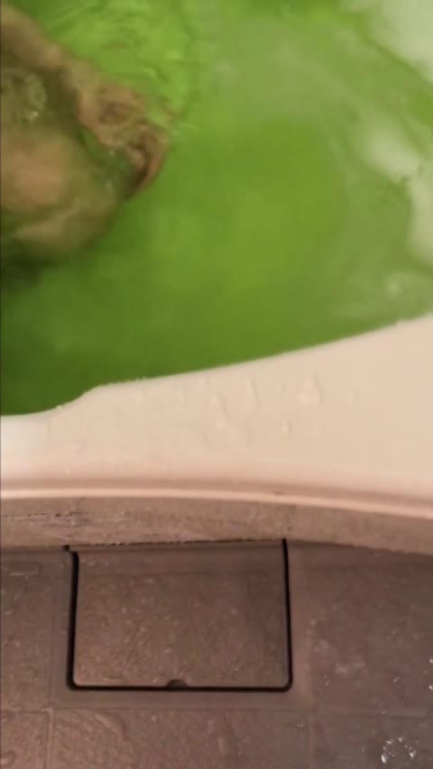 お風呂に入る時間です