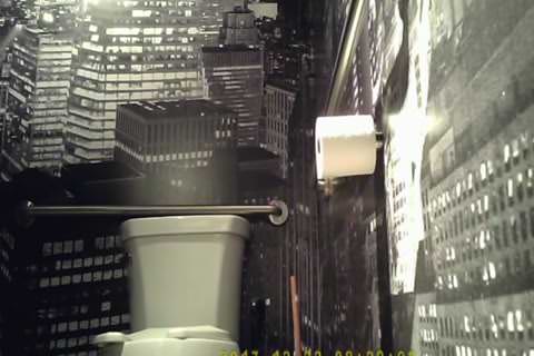 無修正　洋式（前方・後方・横）ロシア娘