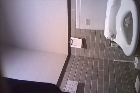 無修正　ＪＫ、ＯＬ洋式トイレ盗撮スペシャル 5（期間限定4＄）