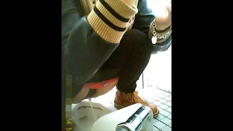 トイレの秘密10