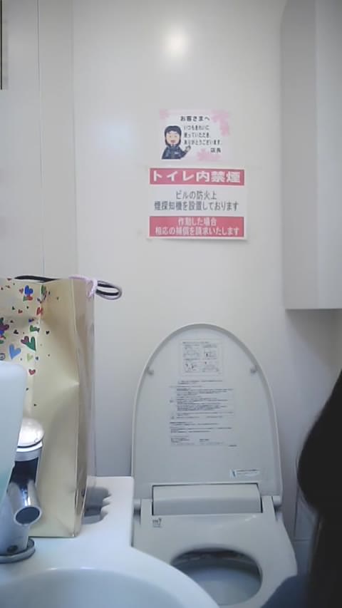 【盗撮】　5人の美女のリアルトイレ　正面・高画質