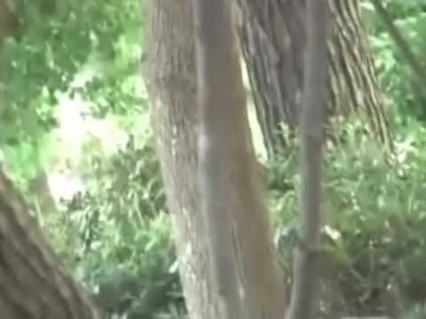 夏のビーチ　野ション　No14