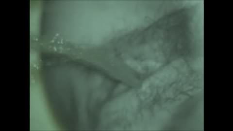 【絶版】洋風居酒屋赤外線和式トイレ001