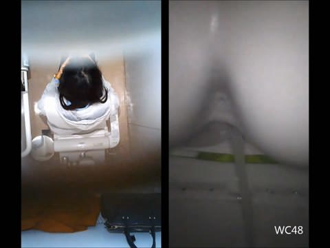 トイレ盗撮シリーズ総集編①