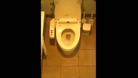 女性たちの洋式お手洗い 16(デパート編)