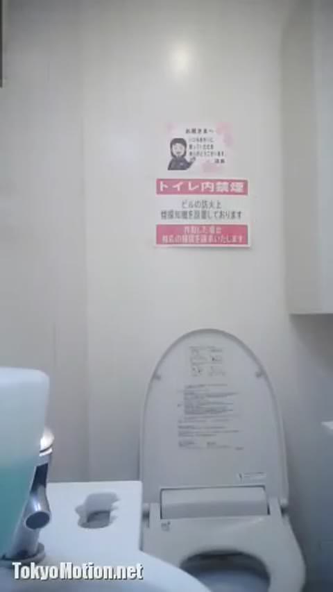 【美女厳選3人】トイレ盗撮！ギャル、お姉系