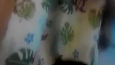 キャス　ＳＥＸ配信でＢＡＮ