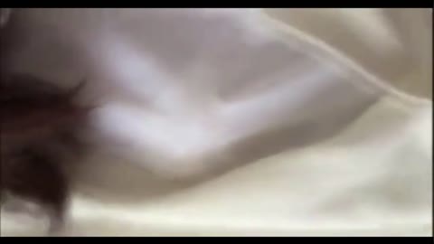 小柄かわいすぎるシー制服はめ