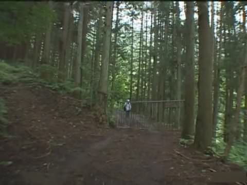 淫蟲の森 みひろ(破壊版 無修正)