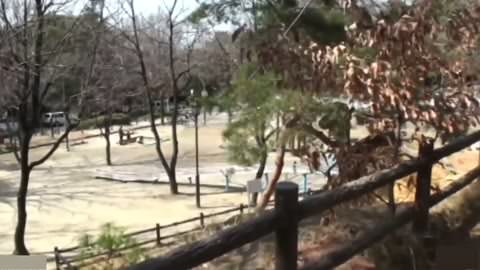 自撮り野外露出 29