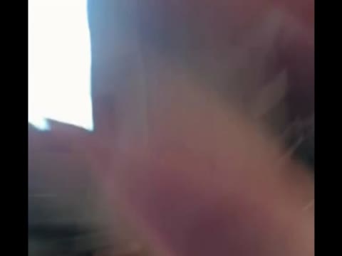 「激しくしたらすぐイっちゃいそう。。」