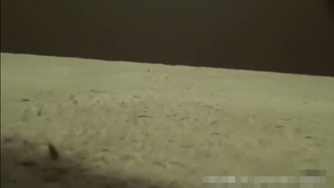 秘密のオナニー