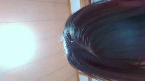 「×××はずい」