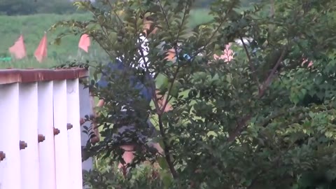 通学路で野外おしっこ4