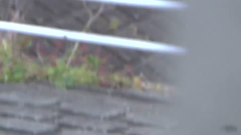 通学路で野外おしっこ2