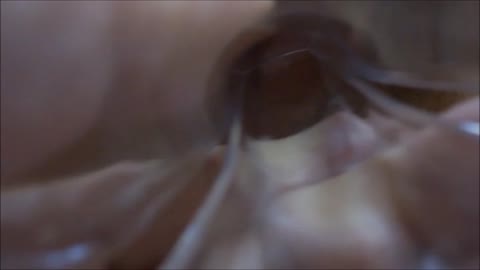 １月１６日の出来事　デジカメ撮影