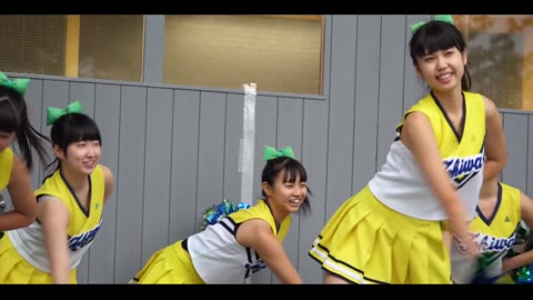 期間限定 マイスター142