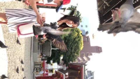 【令和史上最高美少女】見ないと後悔する本当の美少女の純白パンモロ