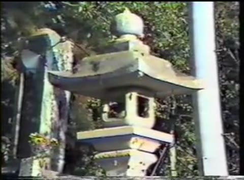 【無】　黒い菊　田口ゆかり　【旧作】