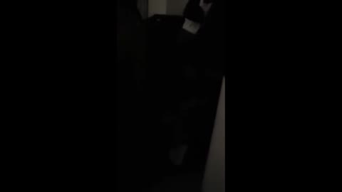 異人さんに買われた女