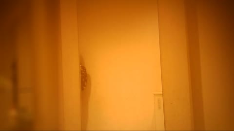 ◎期間限定◎ ≪≪愛らしい~女の子≫≫