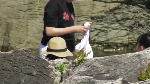 衝撃おっぱいぽろりハプニング 第1/3弾