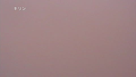 ガチ身バレ「初撮素人りつ」証拠写真入り