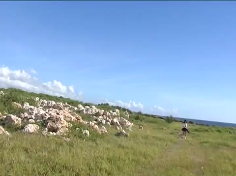 14美少女Ｔバック