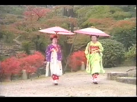 舞○の○美さん