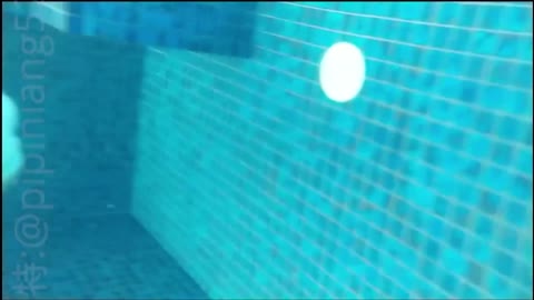 うれCーほどスレンダー。IVみたいにプールでのビキニ撮影からまさかの・・・・