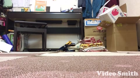 【やってみた】♡ストレッチ♡