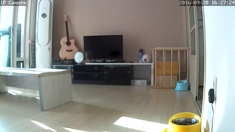 韓国民家の防犯カメラ４