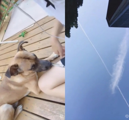 美少女シーとビデオ通話